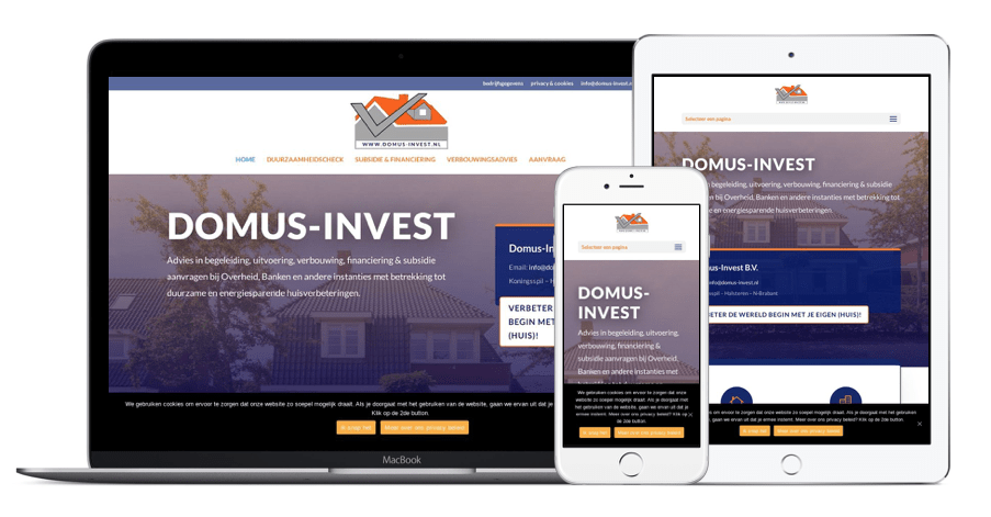 Domus Invest alex hermans schilderwerken